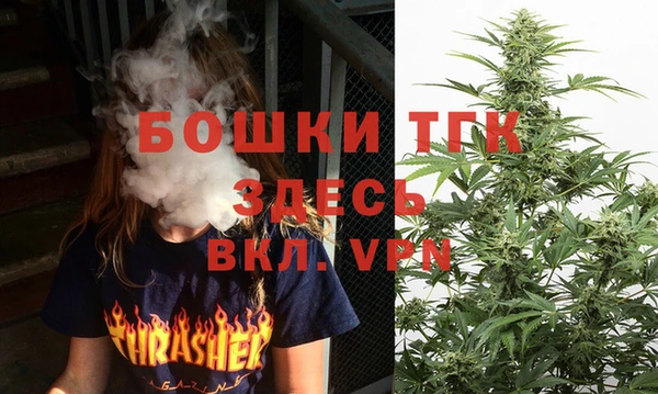 крисы Аркадак