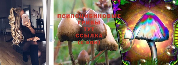 крисы Аркадак
