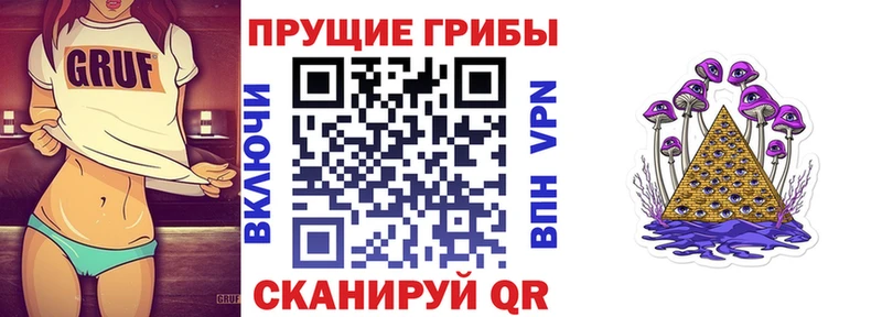 даркнет сайт Змеиногорск Галлюциногенные грибы Psilocybe